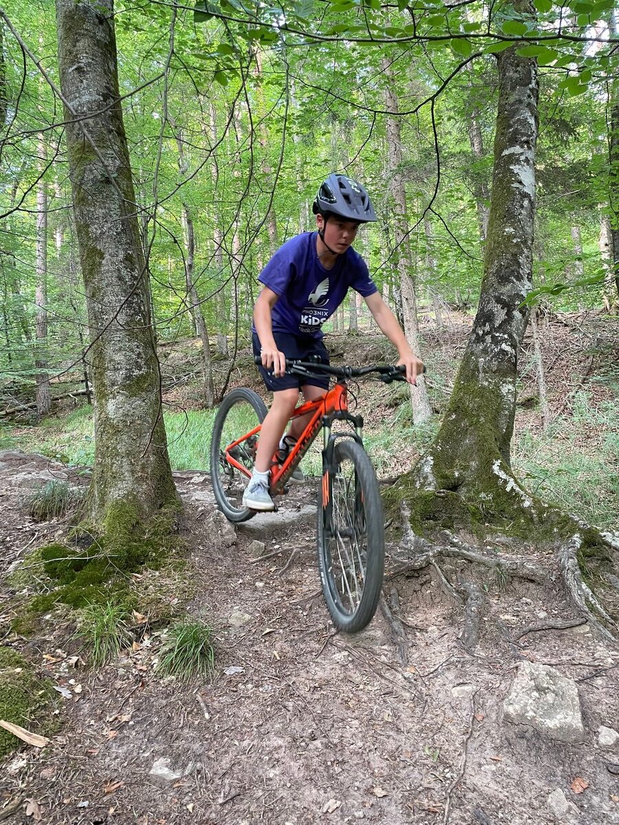 Radfahrer im Wald